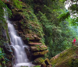 碧峰峽、上里古鎮(zhèn)二日游
