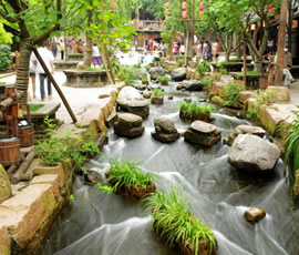 千年水碼頭、古鎮(zhèn)黃龍溪一日游