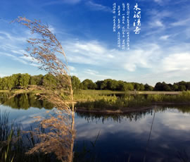 新義水鄉(xiāng)中醫(yī)藥浴康養(yǎng)、黃龍溪古鎮(zhèn)二日游