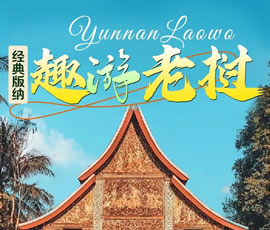 【趣游老撾 · 經(jīng)典版納】—昆明、普洱、西雙版納、磨丁、瑯勃拉邦四動(dòng)8日游